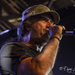 Krokus – 20.7.2013