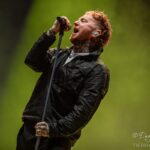 Sex Pistols – 4.7.2026